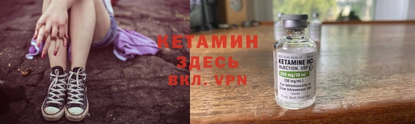 крисы Баксан