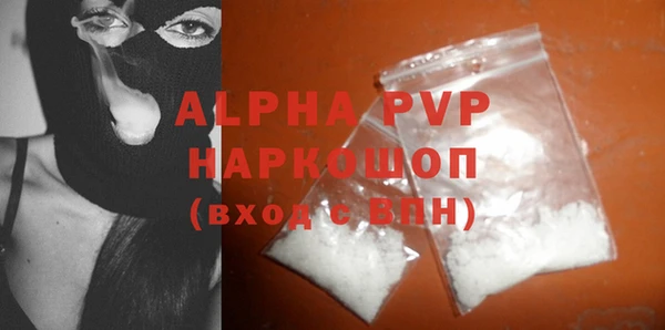 крисы Баксан
