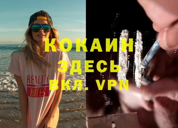 крисы Баксан