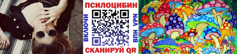 Псилоцибиновые грибы Cubensis  наркошоп  Гулькевичи 